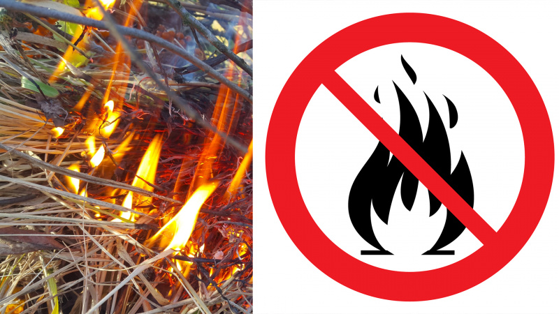 Eldningsförbud utfärdat i hela Östergötland