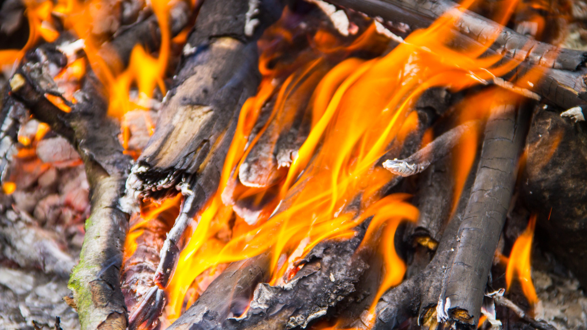 Ny EU-lag förbjuder eldning i trädgården