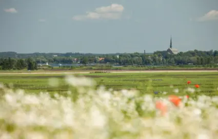 Vadstena med Östgötaslätten i förgrunden