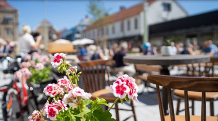 Nya rådhustorget, men blomster i förgrunden och med människor ur fokus i bakgrunden.