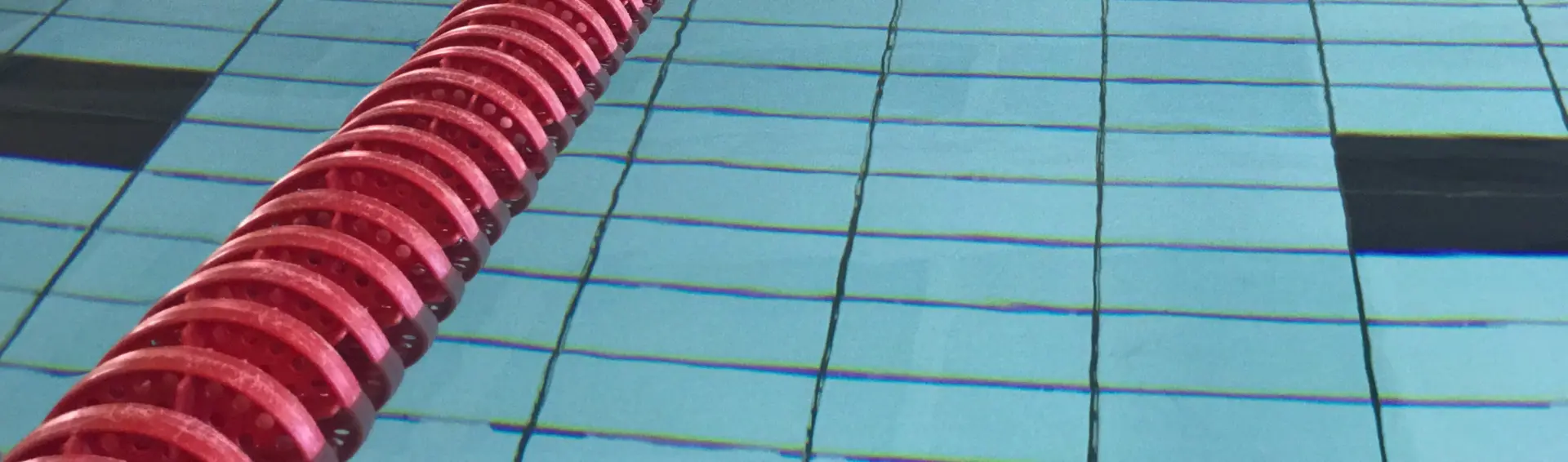 Simhall, omslagsbild