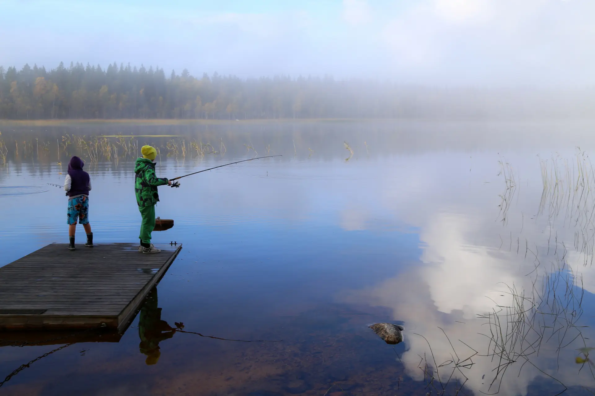 Fiske genrebild