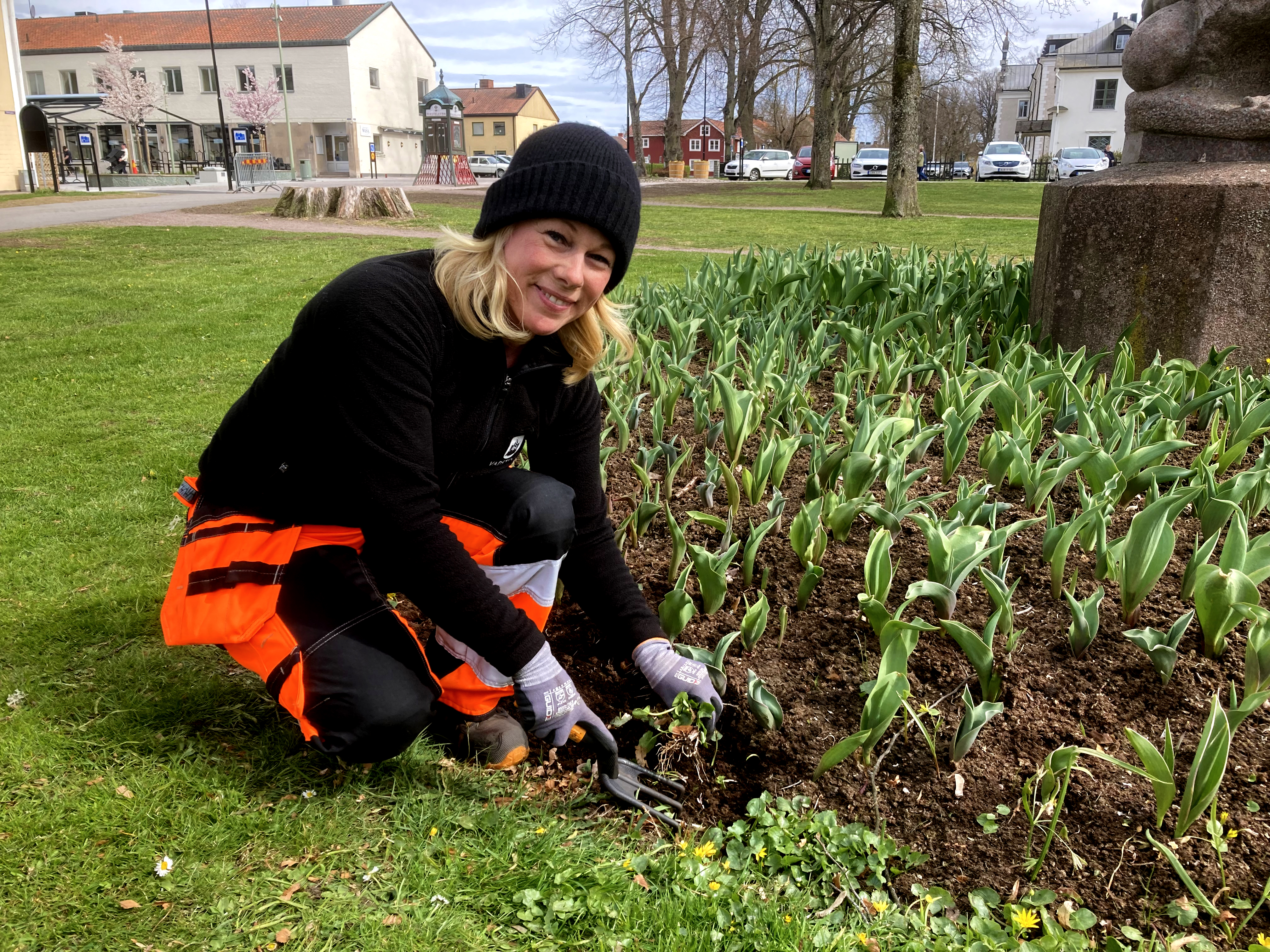 Åsa Calsén planterar blomsterlökarare.