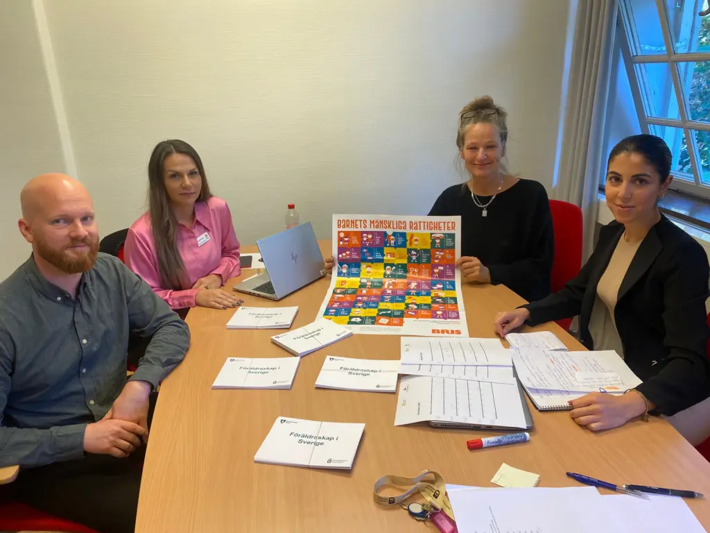 Ansvariga för integrationsprojektet Ava