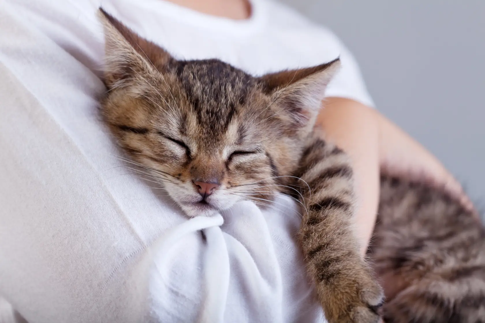Katt som sover mot bröstet på en människa.
