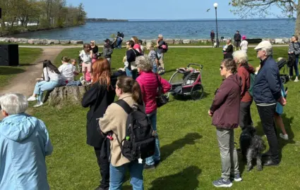 Myller av människor i hamnparken