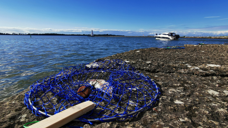 kräfthåv på land med sjön i bakgrunden
