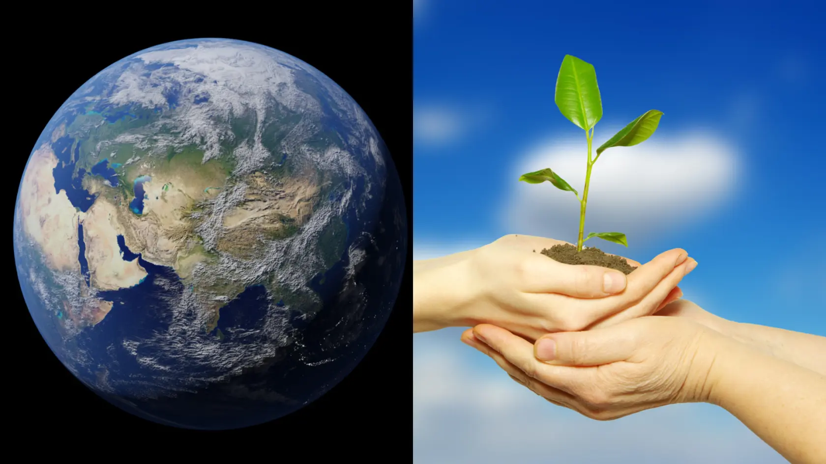 Montage: Planeten Jorden samt händer som håller en planta.