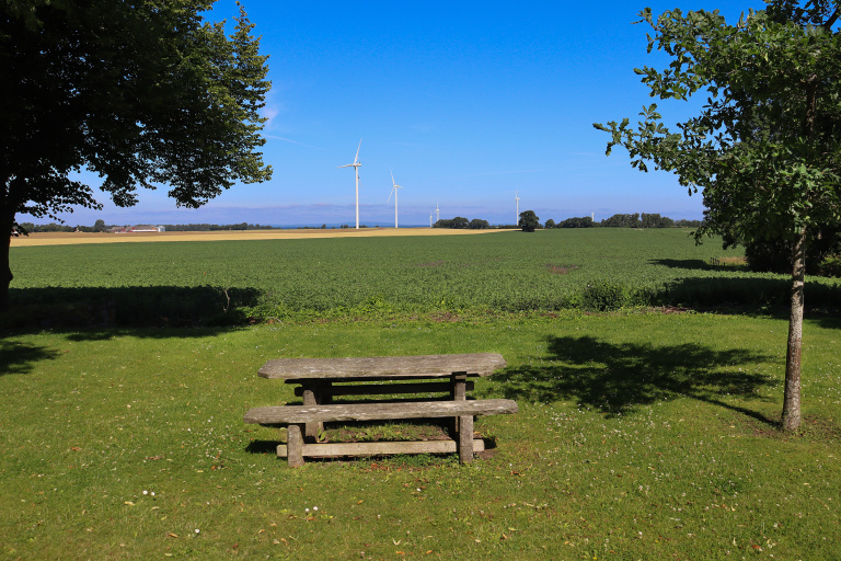 Bänk på grönt fält