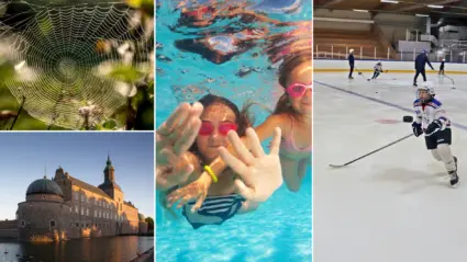 Collage med spindelnät, slott, simhall, ishall.