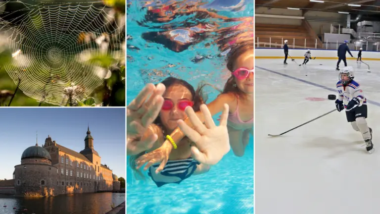 Collage med spindelnät, slott, simhall, ishall.