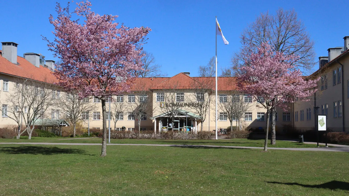 Kommunhuset med blommande japanska körsbärsträd.