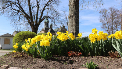 Nyhetsbrev - Vadstena Näringsliv 2026 vecka 14