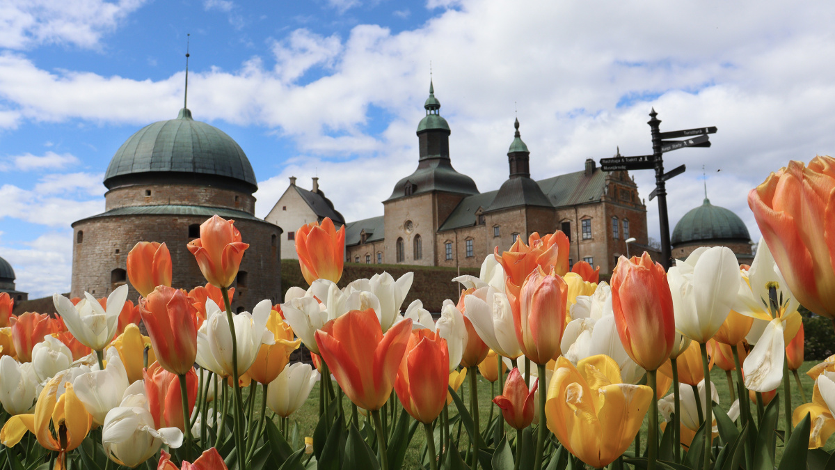 Gratis blomsterlökar till Vadstenaborna! 