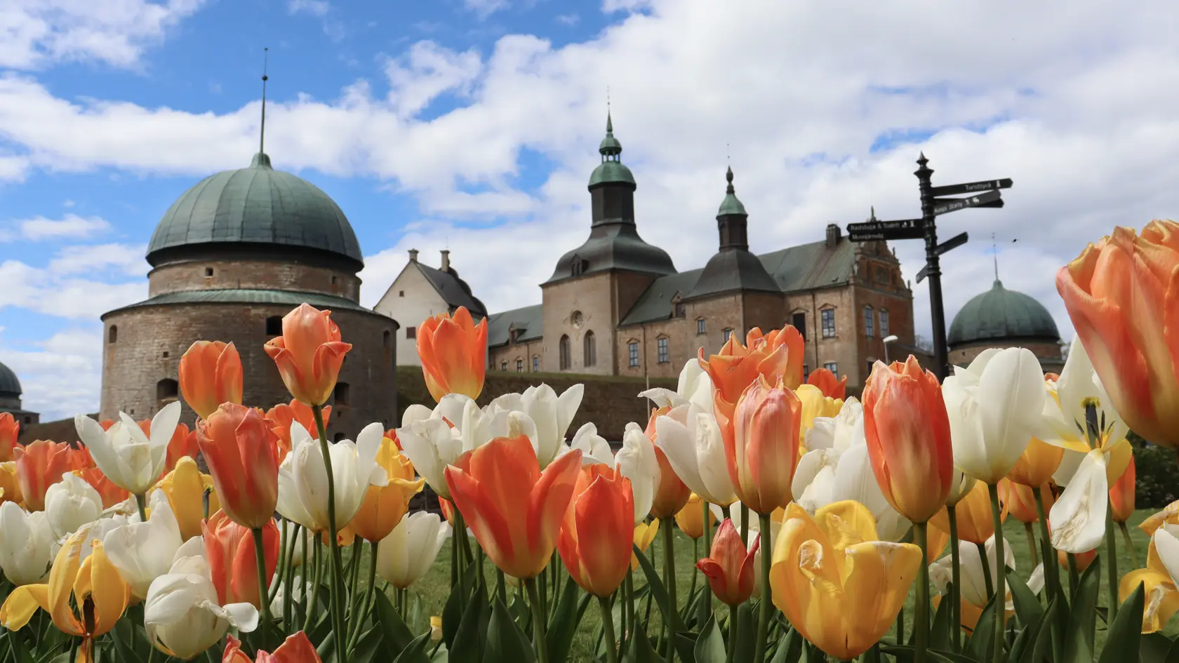 Tulpanrabatt med Vadstena slott i bakgrunden.